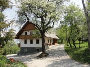 Farm Stay Dolinar Krainer